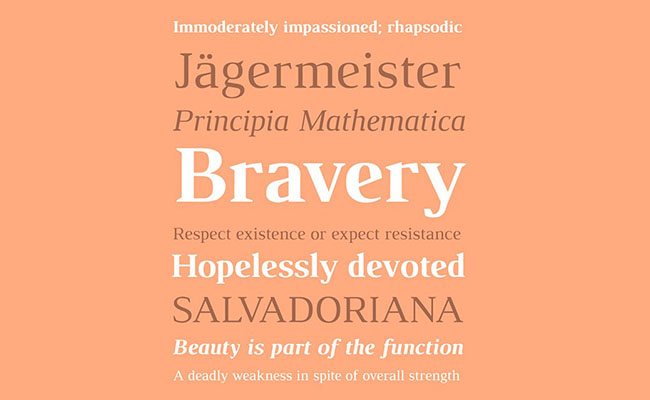 Luthier Font Family Download