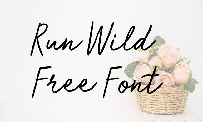 Run Wild Font Family Free Download