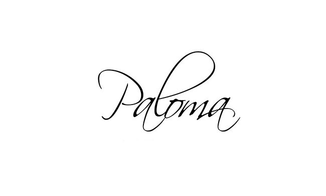 Paloma Negra Font Family Free Download