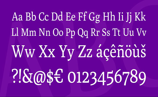 Poly-Font-Family-Download