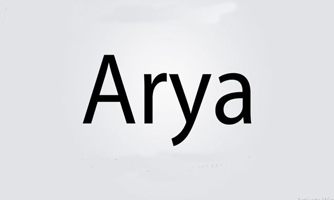 Arya Font Family Free Download