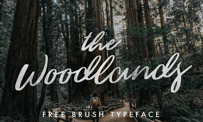 The Woodlands Font Family Free Download