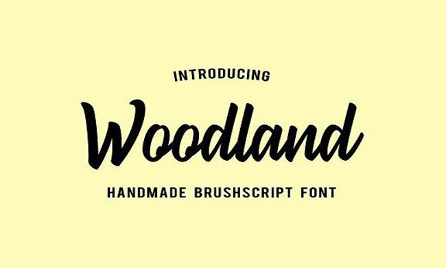 Woodland Font Family Free Download